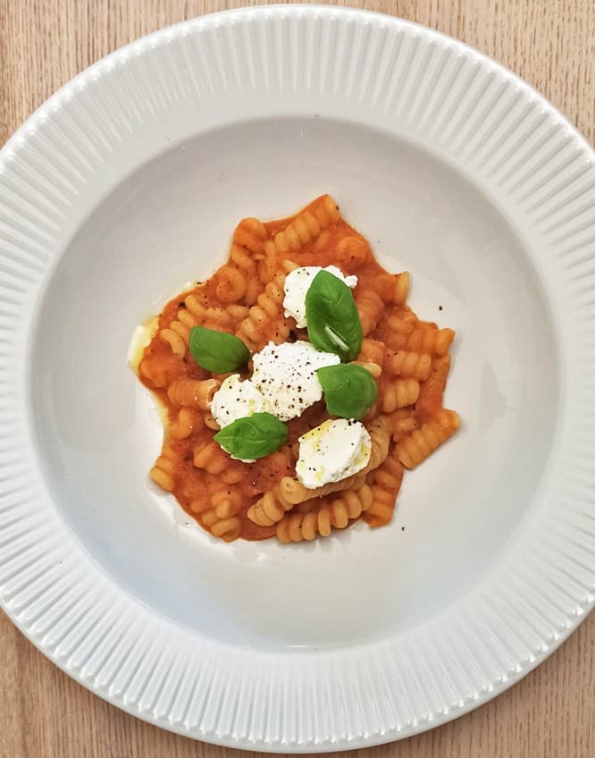 un plato de comida